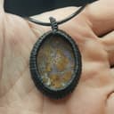 جاسپر شجر پاییزه